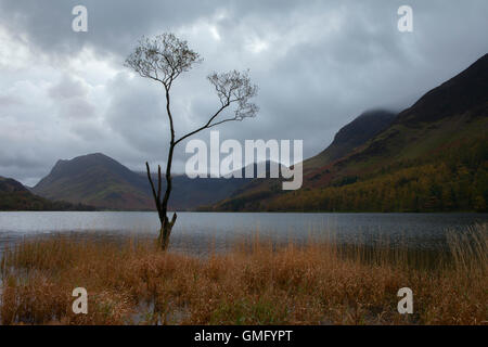 La lande à Lone Tree. Banque D'Images