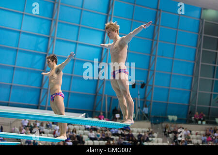 Chris Mears et Jack rire de Grande-Bretagne au cours de la FINA/NVC Diving World Series à Londres le 24 avril, 2014. Banque D'Images