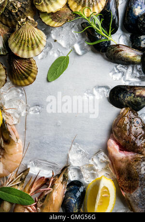 Des fruits de mer aux herbes et citron sur la glace. Crevettes, poissons, moules, pétoncles sur acier metal arrière-plan. Vue de dessus, copy space Banque D'Images