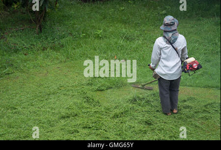 L'homme coupé de l'herbe avec une tondeuse Banque D'Images