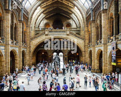 L'Hintze hall of natural history museum de Londres avec son centre des pièces d'un diplodocus carnegii cast Banque D'Images