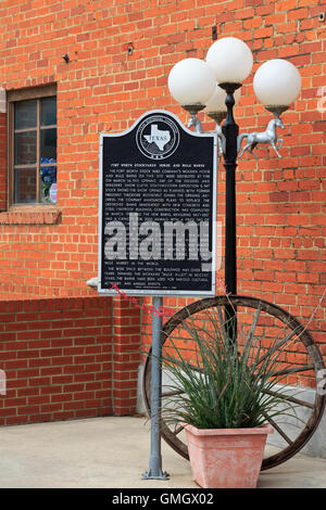 Texas Cowboy Hall of Fame, bestiaux, Fort Worth, Texas, États-Unis Banque D'Images