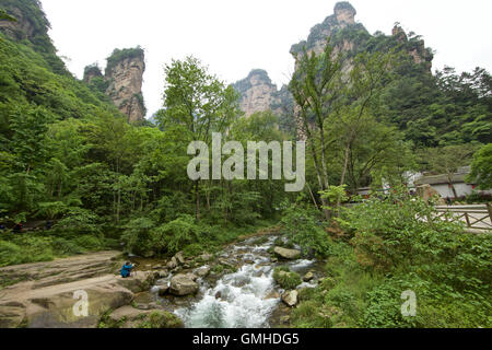 Vue panoramique Parc National Zhangjiajie Hunan, République populaire de Chine Banque D'Images