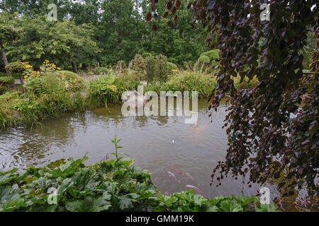 Vue sur le lac avec des carpes dorées dans un jardin japonais, Mondo Verde. Banque D'Images