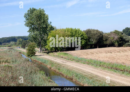 Une grande vue d'une partie de la 'Barthes de Monbardon (Soorts Hossegor - Landes - France) avec un drain pour se débarrasser de l'eau. Banque D'Images