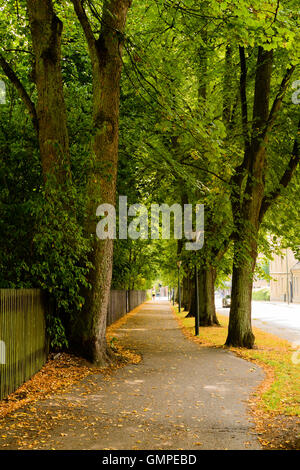 Ruelle droit et étroit pour les piétons et vélos. Homme qui court au loin. Lampadaires et clôture le long de l'allée. Biskop Banque D'Images