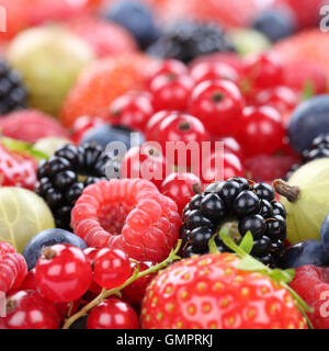 Des fruits à baies collection fruits fraises, bleuets framboises Groseilles rouges copyspace Banque D'Images