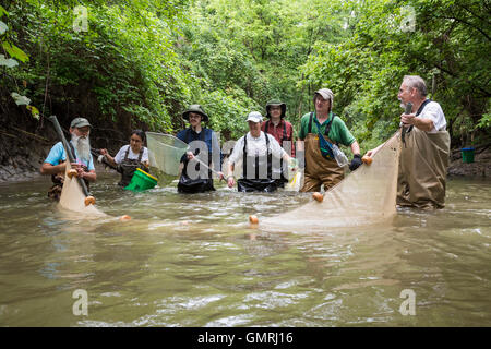 Wayne, Michigan - bénévoles avec les amis de l'utilisation Rouge une seine pour mener une enquête sur la partie inférieure du Poisson Rouge River. Banque D'Images
