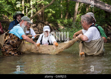 Wayne, Michigan - bénévoles avec les amis de l'utilisation Rouge une seine pour mener une enquête sur la partie inférieure du Poisson Rouge River. Banque D'Images