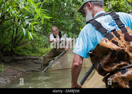 Wayne, Michigan - bénévoles avec les amis de l'utilisation Rouge une seine pour mener une enquête sur la partie inférieure du Poisson Rouge River. Banque D'Images