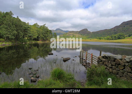 Morning Mist sur Blea Tarn et distant des Langdale Pikes, Langdale, Cumbria, Parc National de Lake District, England, UK. Banque D'Images