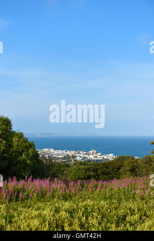 Vue d'été au cours de l'Eastbourne Downs du Sud, East Sussex, UK Banque D'Images