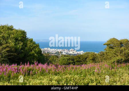 Vue d'été au cours de l'Eastbourne Downs du Sud, East Sussex, UK Banque D'Images