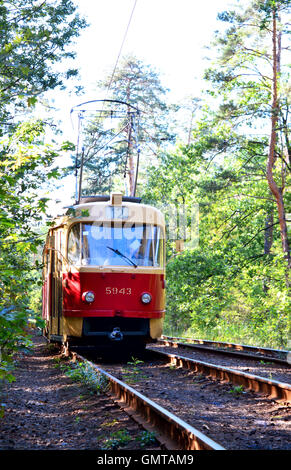 Voiture de tramway rouge rétro se déplace sur le même chemin de fer les bois. Banque D'Images