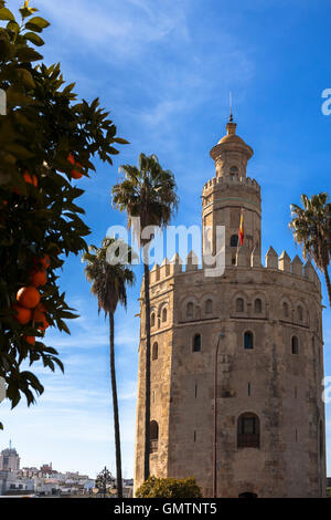 La Torre del Oro (la tour d'Or), Séville, Andalousie, Espagne Banque D'Images