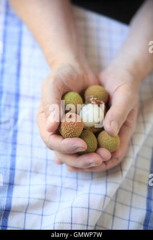 Un homme détient un frais fruits litchi, pelées, dans ses mains. Banque D'Images