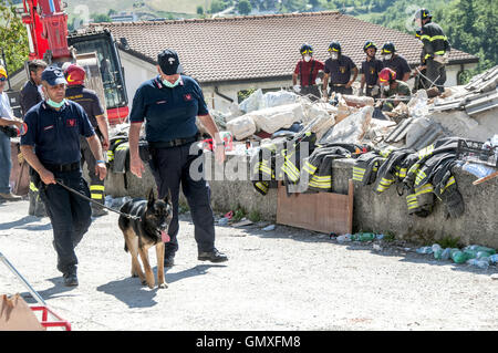 Rome, Italie. Août 25, 2016. La terre continue à trembler à Amatrice (Rieti) après le séisme de magnitude 6 au 24 août 2016, a frappé le centre de l'Italie. Il y a eu de nouvelles s'effondre, alors que le nombre de morts a augmenté : 281 victimes jusqu'à présent établi, y compris 221 Amatrice et ses villages, 11 à Accumuli, 49 à Arquata del Tronto. 388 blessés et 2 500 personnes sans abri. Pompiers en Amatrice © Patrizia Cortellessa/Pacific Press/Alamy Live News Banque D'Images