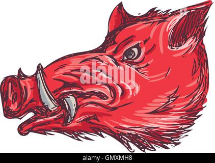 Le Sanglier Razorback Dessin côté tête Illustration de Vecteur