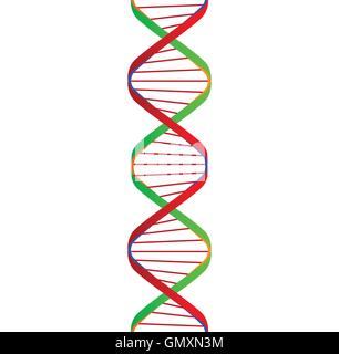 ADN double spirale Illustration de Vecteur