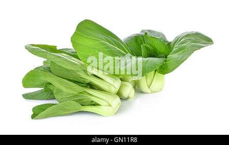 Le Bok choy légume sur fond blanc Banque D'Images