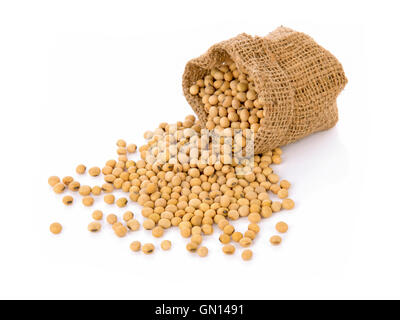 Le soja au petit sac sur fond blanc Banque D'Images