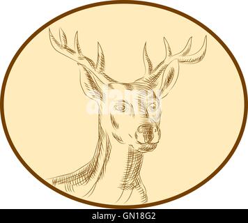 Red Deer Stag Head Gravure Cercle Illustration de Vecteur