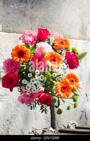 Bouquet de fleurs lumineuses, colorées différentes à l'extérieur avec fond noir en gris Banque D'Images