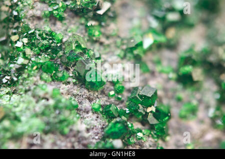 Uvarovite est un roulement de chrome Groupe grenat espèce avec la formule suivante : Ca3Cr2(SiO4)3. Macro. Banque D'Images