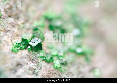 Uvarovite est un roulement de chrome Groupe grenat espèce avec la formule suivante : Ca3Cr2(SiO4)3. Macro. Banque D'Images