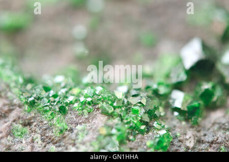 Uvarovite est un roulement de chrome Groupe grenat espèce avec la formule suivante : Ca3Cr2(SiO4)3. Macro. Banque D'Images