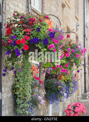 Paniers suspendus à l'extérieur d'un chalet à Stow on the Wold, Cotswolds, Gloucestershire, Angleterre Banque D'Images