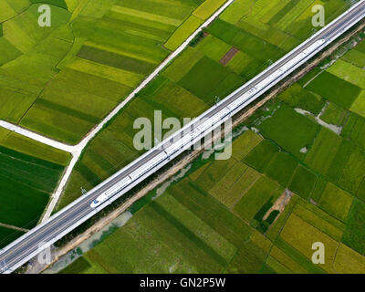 Beijing, Chine. 17 juillet, 2016. Photo prise le 17 juillet 2016 montre un train à grande vitesse roulant passé champs dans le comté de moyen standing, Chine du Sud, région autonome Zhuang du Guangxi. © Wei Wanzhong/Xinhua/Alamy Live News Banque D'Images