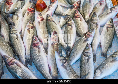 Du poisson pour la vente à un marché à Palerme, Sicile Banque D'Images
