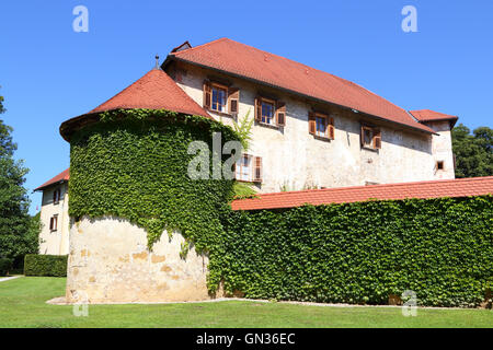 Château Otočec en Slovénie. Banque D'Images