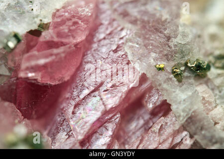 Rhodochrosite est un carbonate de manganèse minéral avec composition chimique MnCO3 avec de la pyrite de fer FeS2 Macro Banque D'Images