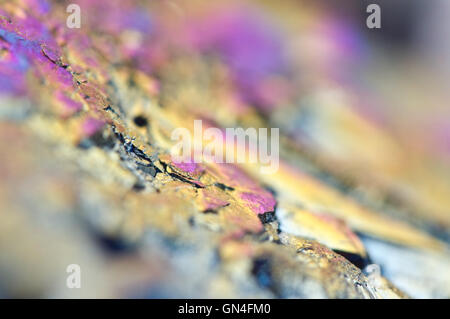 Abstract colorful metal Quartz Multi-Titanizing, fond de couleur. Macro Banque D'Images