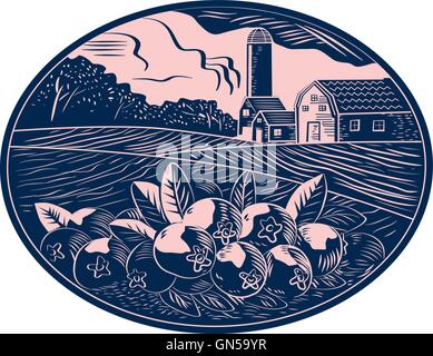 Cranberry Fruit Farm, gravure sur bois ovale Illustration de Vecteur