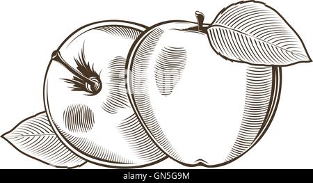 Les pommes dans un style vintage. Art ligne vector illustration Illustration de Vecteur