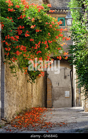 Ponza (Ombrie) old alley Banque D'Images