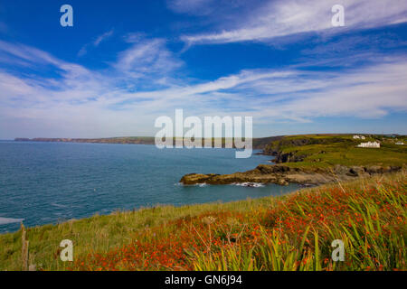 Une scène ensoleillée de l'océan Atlantique à Cornwall. Image tirée du chemin côtier du sud-ouest près de Port Isaac. Banque D'Images