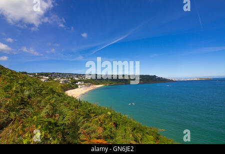 Carbis Bay, Cornwall est représenté sur un matin d'août ensoleillé, avec St Ives dans la distance et des fleurs sauvages dans l'avant-plan. Banque D'Images