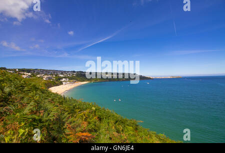 Carbis Bay, Cornwall est représenté sur un matin d'août ensoleillé, avec St Ives dans la distance et des fleurs sauvages dans l'avant-plan. Banque D'Images