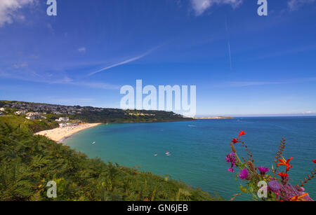 Carbis Bay, Cornwall est représenté sur un matin d'août ensoleillé, avec St Ives dans la distance et des fleurs sauvages dans l'avant-plan. Banque D'Images