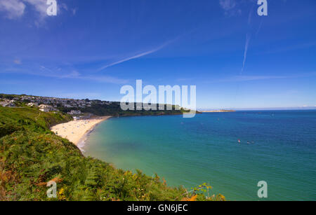 Carbis Bay, Cornwall est représenté sur un matin d'août ensoleillé, avec St Ives dans la distance et des fleurs sauvages dans l'avant-plan. Banque D'Images