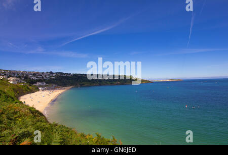 Carbis Bay, Cornwall est représenté sur un matin d'août ensoleillé, avec St Ives dans la distance et des fleurs sauvages dans l'avant-plan. Banque D'Images