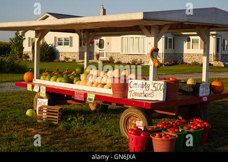 Route locale Farm Market, New Holland, comté de Lancaster, Pennsylvanie, USA Banque D'Images