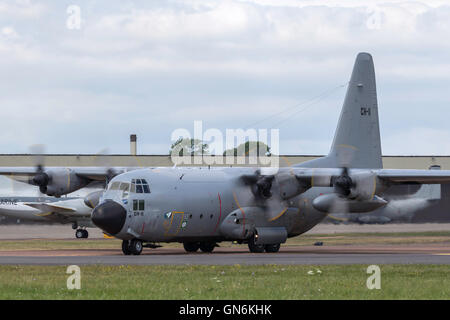 La composante aérienne belge Lockheed C-130H Hercules des avions de transport militaires. Banque D'Images