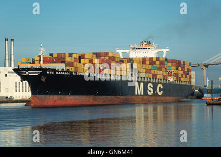 MAERSK LINE MSC BARBARA VRAC CONTENEUR SHIP SAVANNAH SAVANNAH GEORGIA USA Banque D'Images