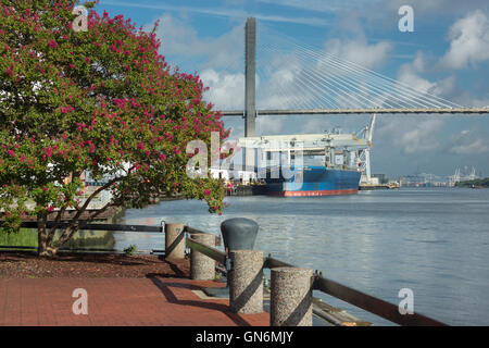 PROMENADE À PIED DE LA RIVIÈRE SAVANNAH SAVANNAH GEORGIA USA Banque D'Images