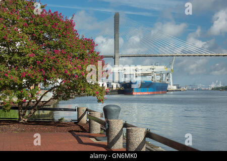 PROMENADE À PIED DE LA RIVIÈRE SAVANNAH SAVANNAH GEORGIA USA Banque D'Images